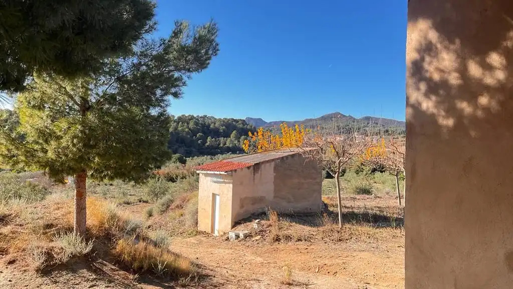 Terreny rústic en venda a Carrer del Dimecres, imagen 16