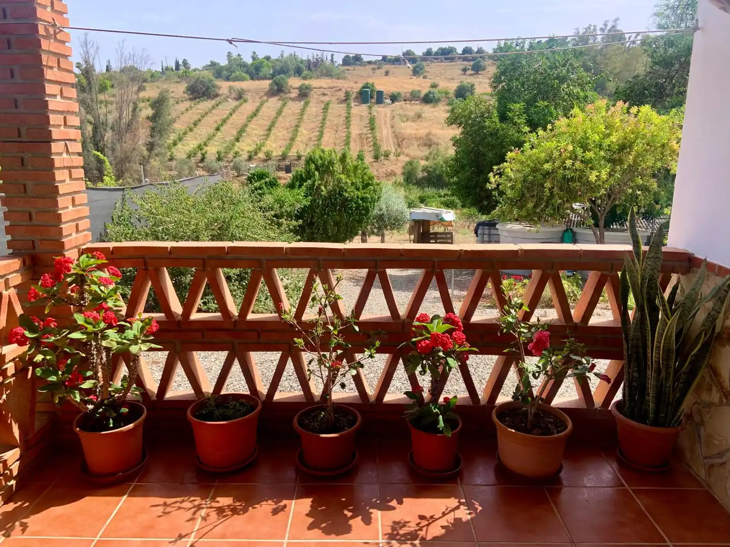 Maison rustique avec piscine à vendre à Pizarra