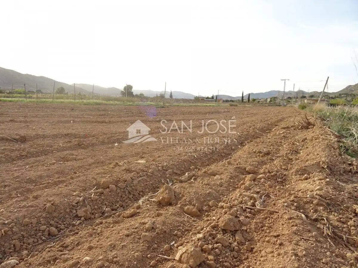 Houses for sale in Aspe  with Storage room