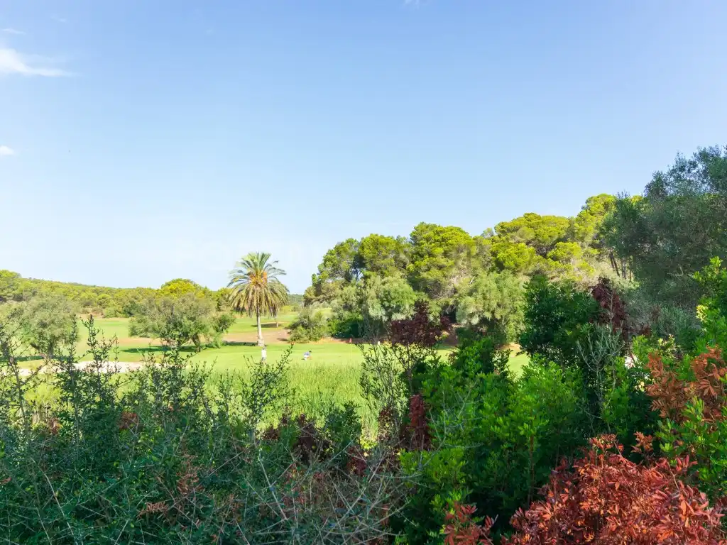 Apartament en venda en Es Mercadal amb Aire condicionat, Terrassa i Piscina