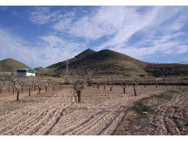 Terreno residencial en Venta en Campo Nubla