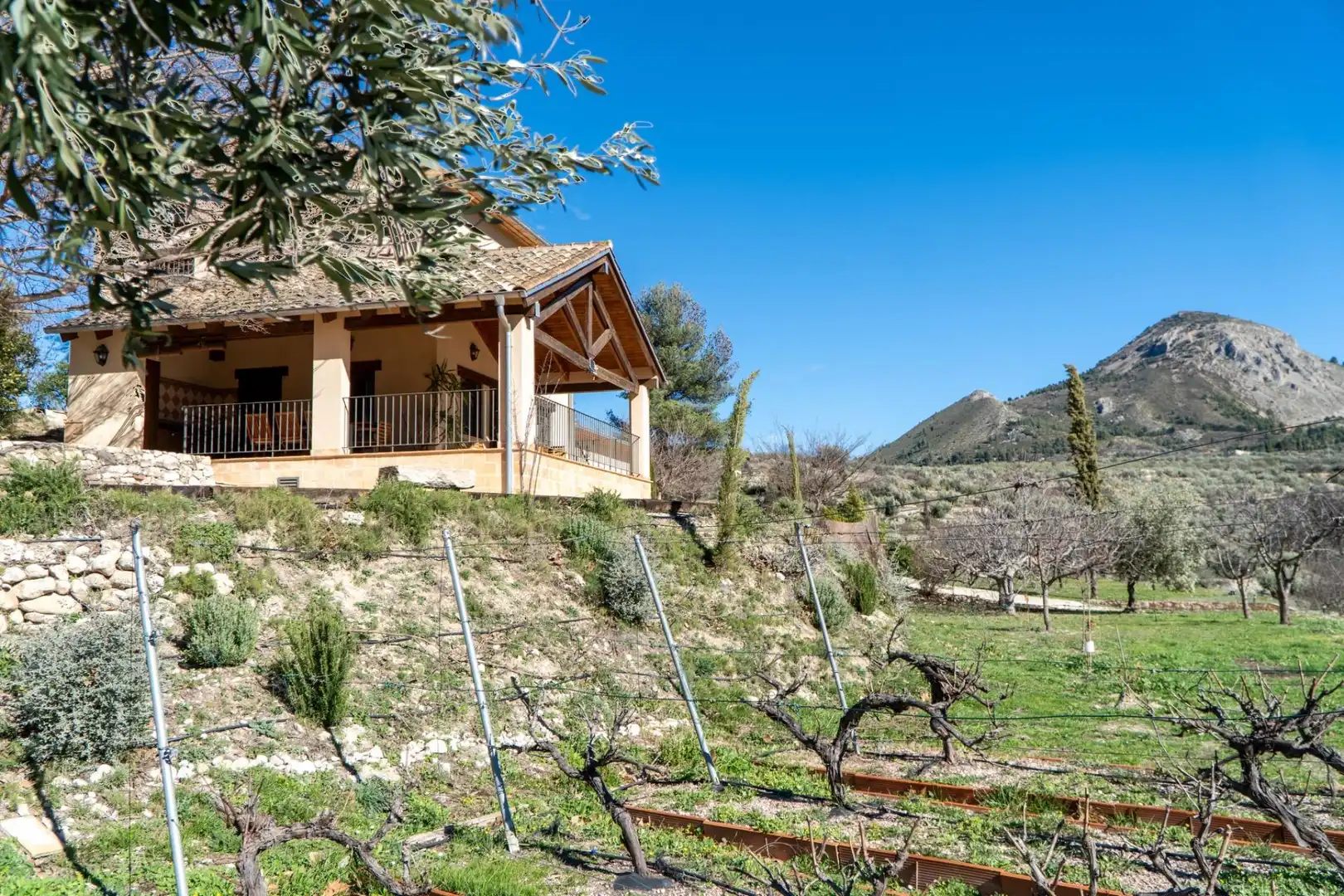 Garden of Country homes for sale in Penàguila  with Heating, Private garden and Terrace