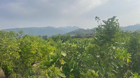 Foto 5 de Finca rústica en venda a Partida Tancaes, 175, Vilallonga / Villalonga, Valencia
