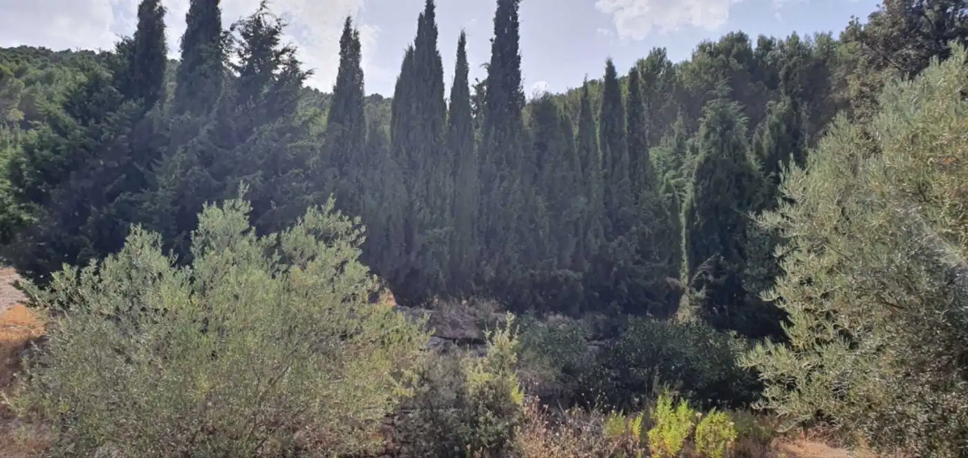 Terreni e lotti in vendita a Yunquera, imagen 7