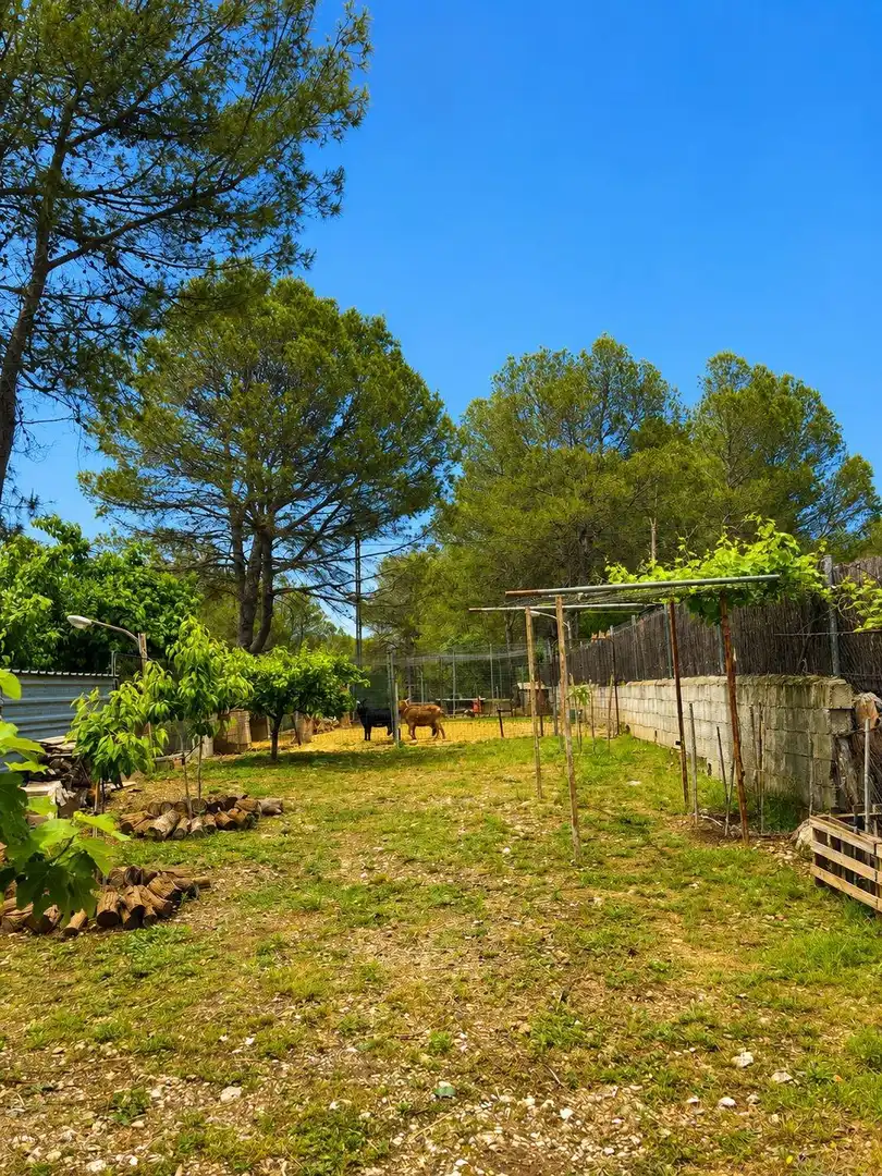 Garden of Houses for sale in Simat de la Valldigna  with Air Conditioner, Heating and Swimming Pool