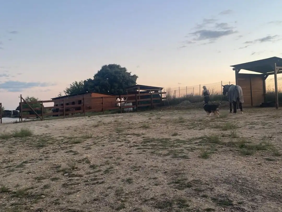Terreno rustico in vendita a Camino de las Salinas 5, imagen 10