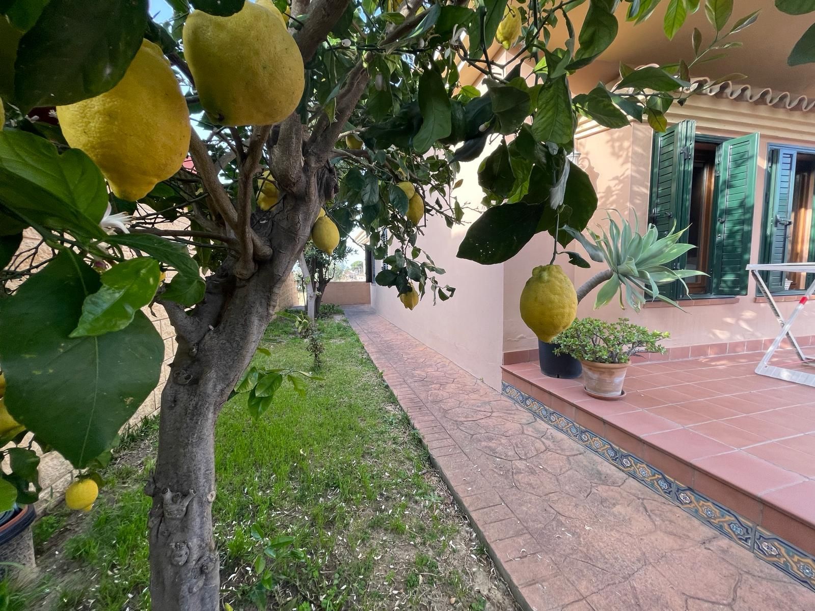 Jardí de Casa o xalet en venda en Algeciras amb Aire condicionat, Calefacció i Jardí privat