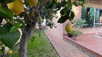 Jardí de Casa o xalet en venda en Algeciras amb Aire condicionat, Calefacció i Jardí privat