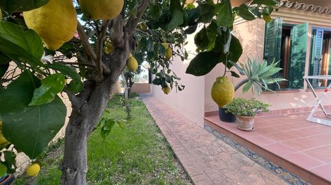 Photo 3 of Houses for sale in Los Pinos, Algeciras