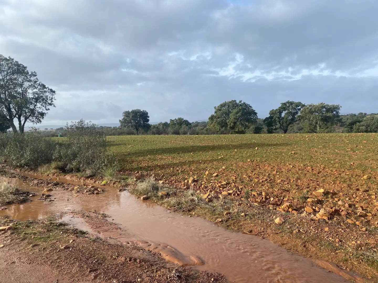 Terreno en venta en Anchuras