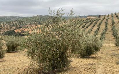 Jardí de Finca rústica en venda en Huétor Tájar