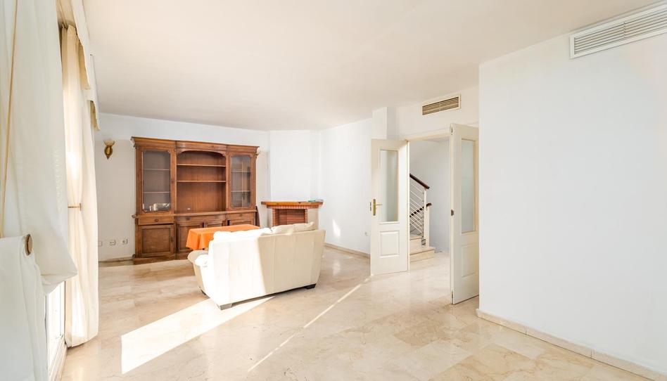 Foto 1 de Casa o xalet de lloguer a Félix Revello de Toro, 8, Conde de Ureña, Málaga