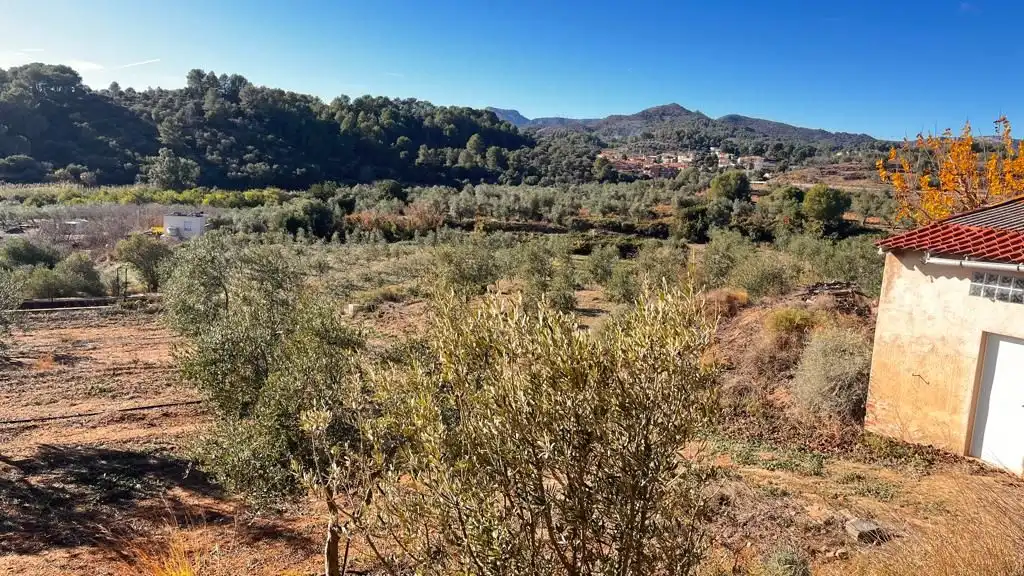 Terreny rústic en venda a Carrer del Dimecres, imagen 14