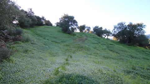 Foto 3 von Residential zum Verkauf in Polígono 8 Parcela 193 Loma del Esparragal. Tolox, 8, Tolox, Málaga