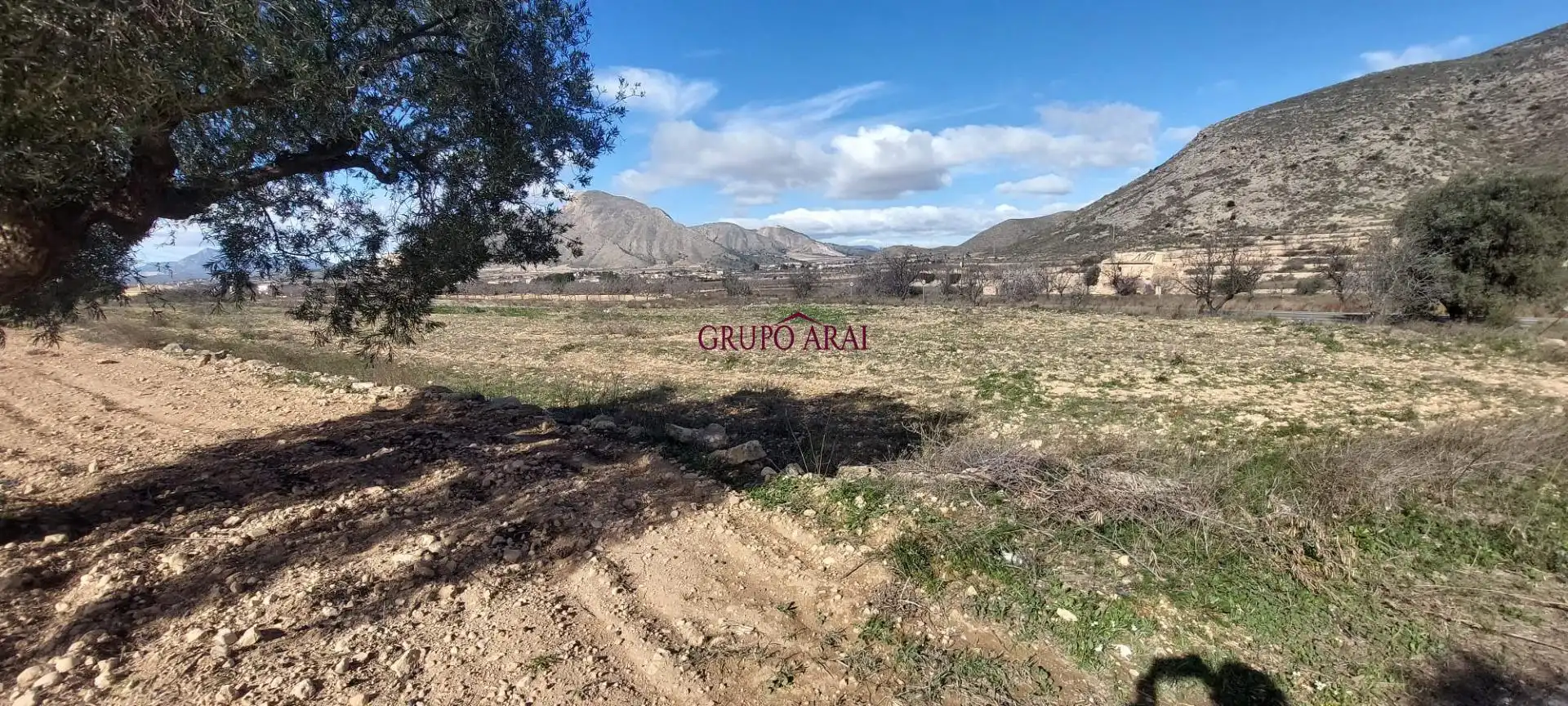 Terreno rustico in vendita a Calle Hondón de los Frailes 2, imagen 6