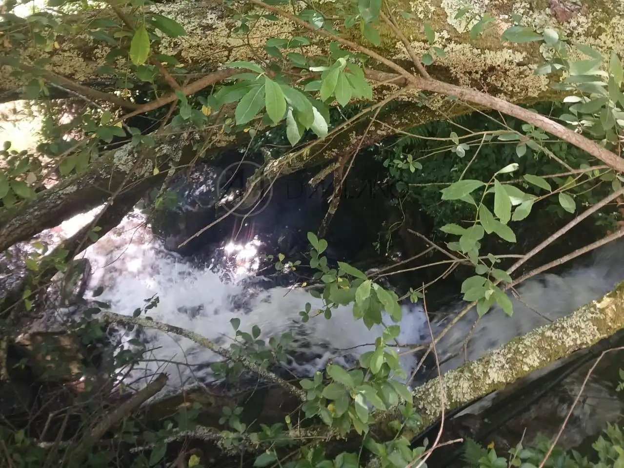 Vista exterior de Casa o xalet en venda en Moaña amb Calefacció, Jardí privat i Terrassa
