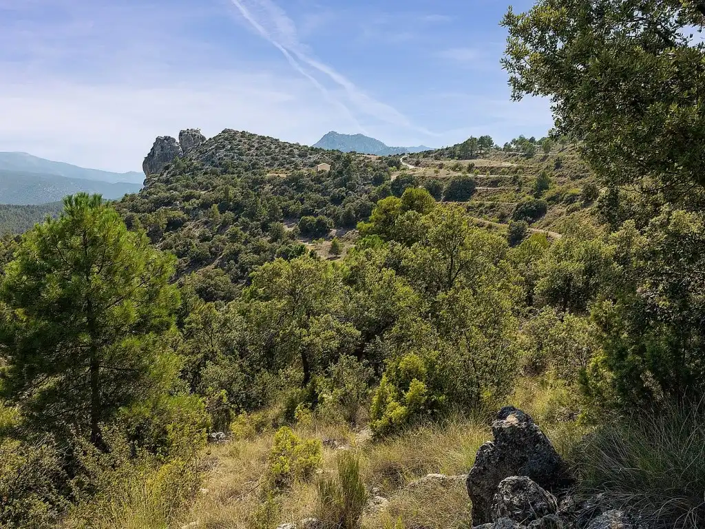 Maison à vendre à Calle Cerro De Casa Vieja -Cañ., imagen 20