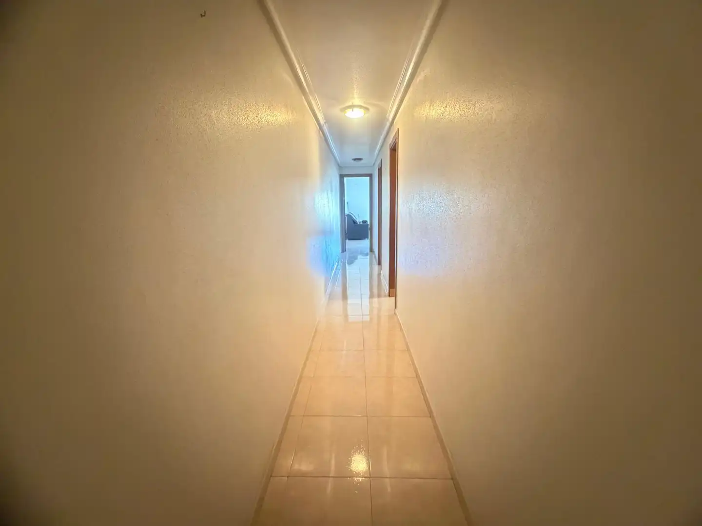 Wohnung zur Miete in Calle Blasco Ibáñez, 19, Dolores