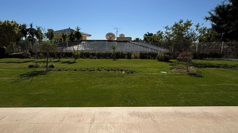 Photo 5 of Planta baja for rent in Los Naranjos, Marbella