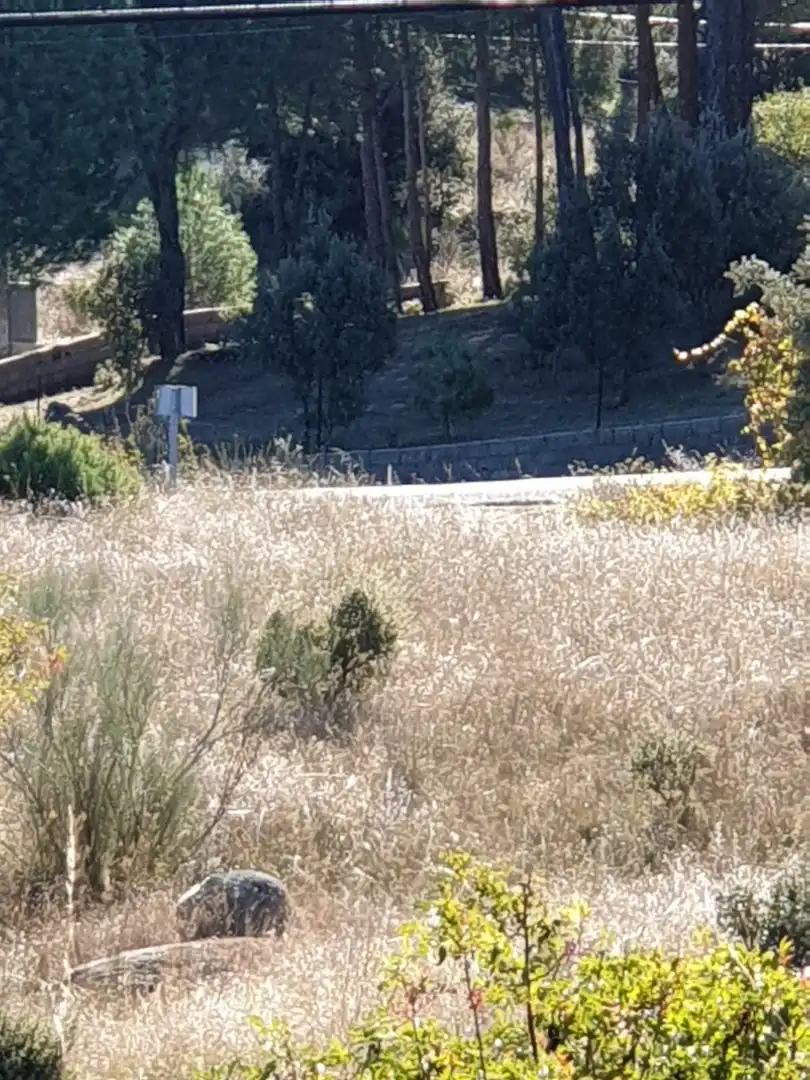 Terreny en venda en El Tiemblo 