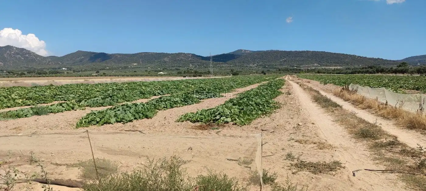 Residential land for sale in Calle Marco 10
