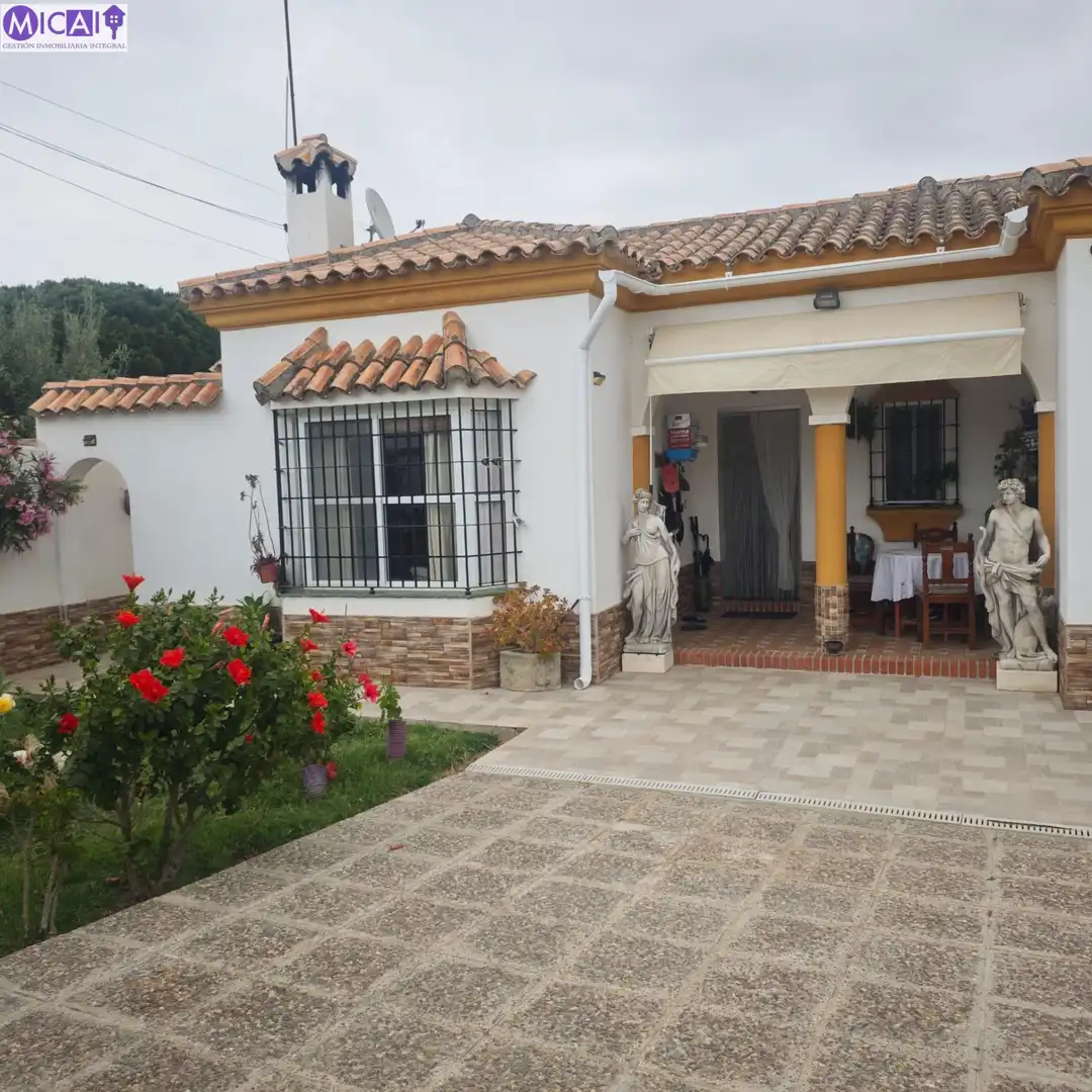 Jardín de Casa o chalet en venta en Chiclana de la Frontera con Jardín privado, Trastero y Piscina