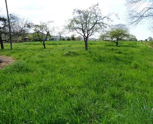 Residencial en venda en Nava