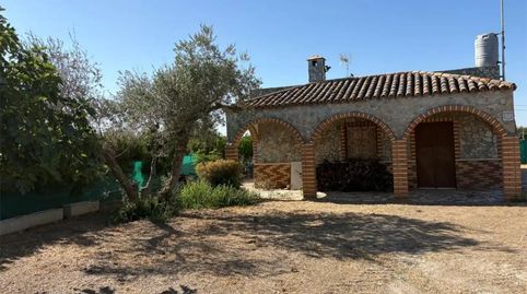Foto 2 de Finca rústica en venta en Avenida Andalucía, 1, La Algaba, Sevilla