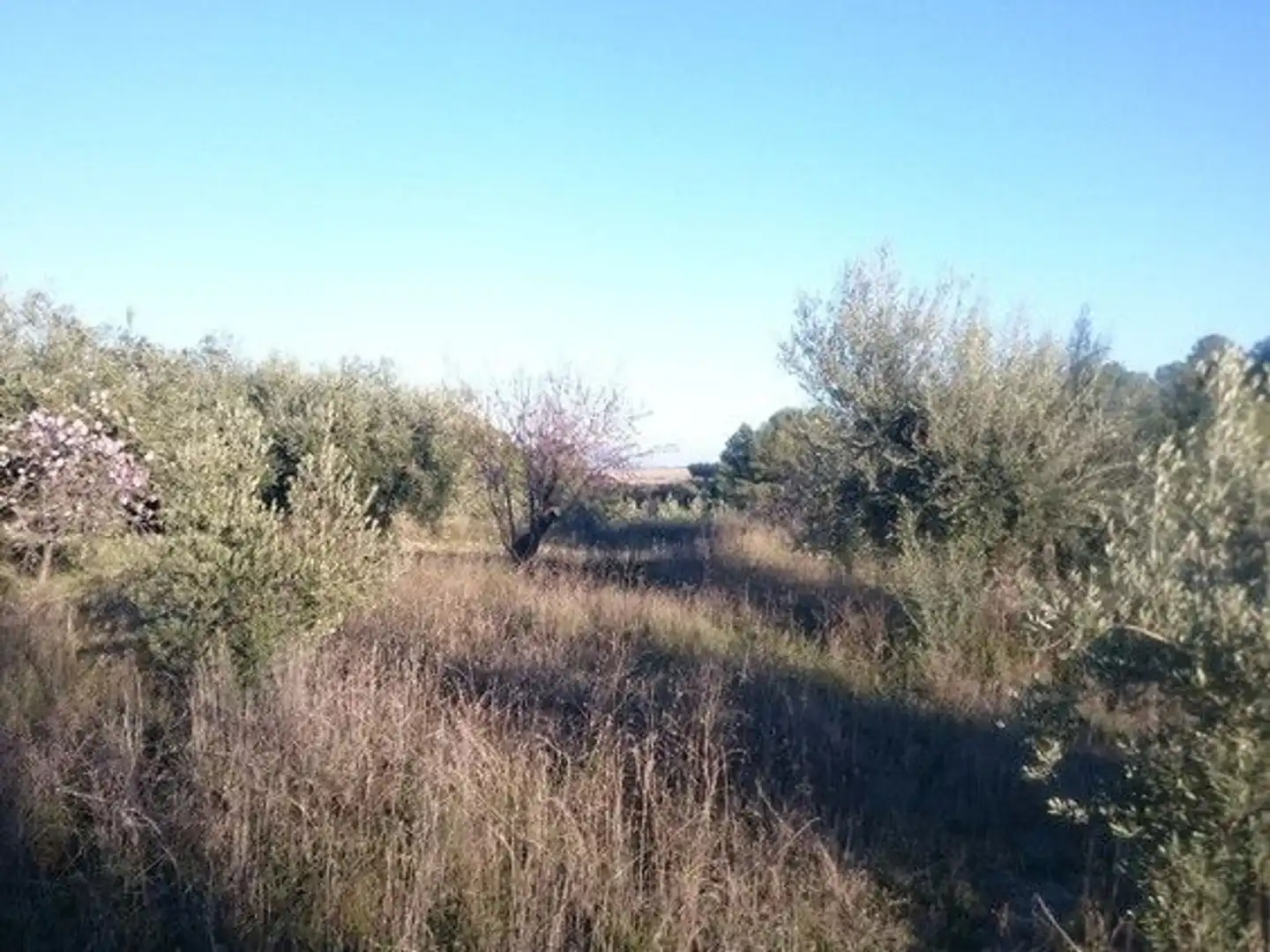 Terreni e lotti in vendita a Moratalla, imagen 9