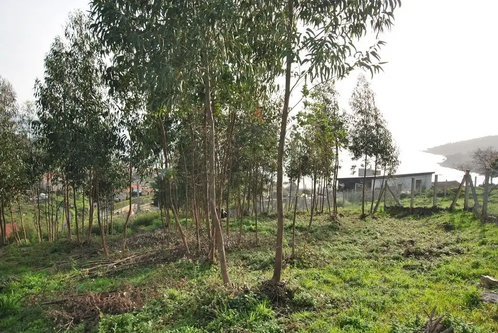 Residential land for sale in N/A, imagen 23
