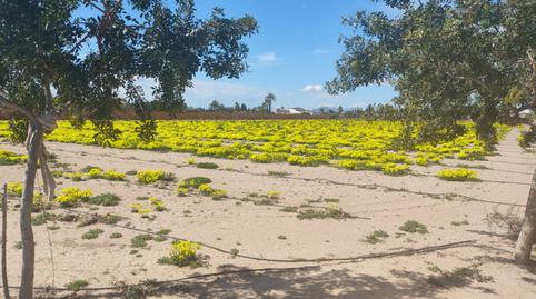 Photo 5 of Residential for sale in Los Arenales del Sol, Alicante