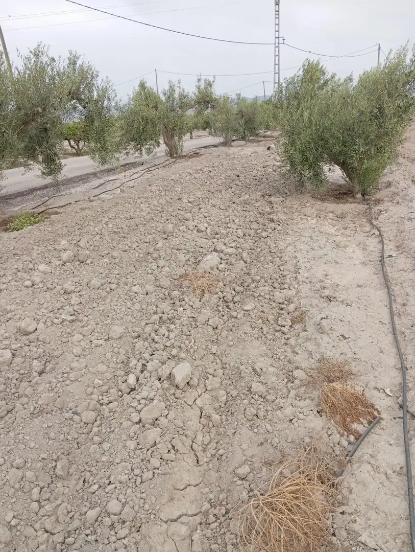 Terrenys i solars en venda a Puerto Lumbreras, imagen 8