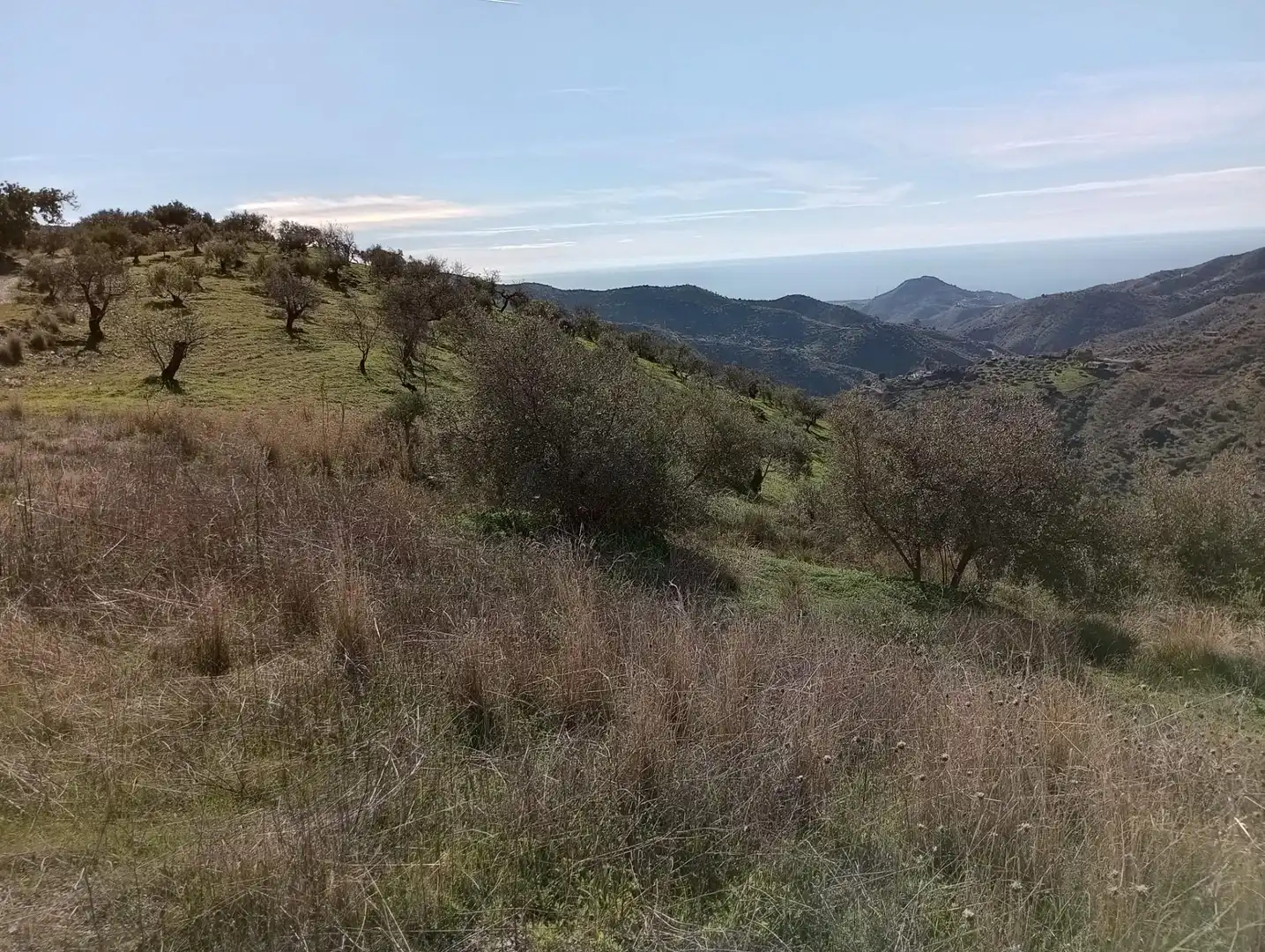 Land for sale in Málaga