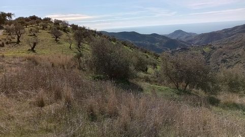 Photo 3 of Land for sale in Camino Camino Totalán, Jarazmín, Málaga Capital