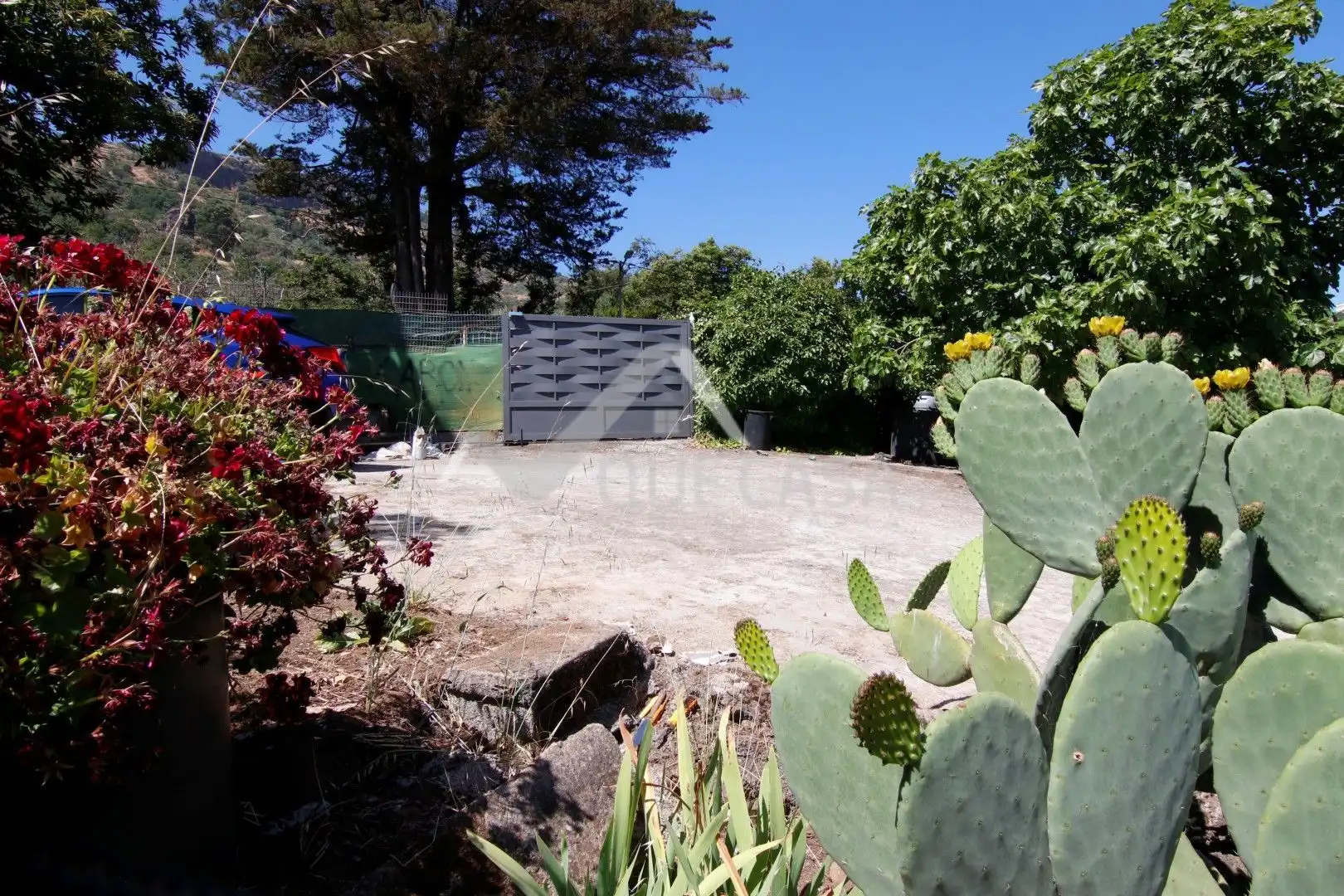Jardín de Terreno en venta en Vega de San Mateo
