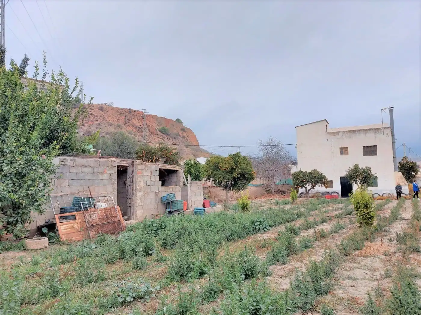 Casa o chalet en venta en Ugíjar