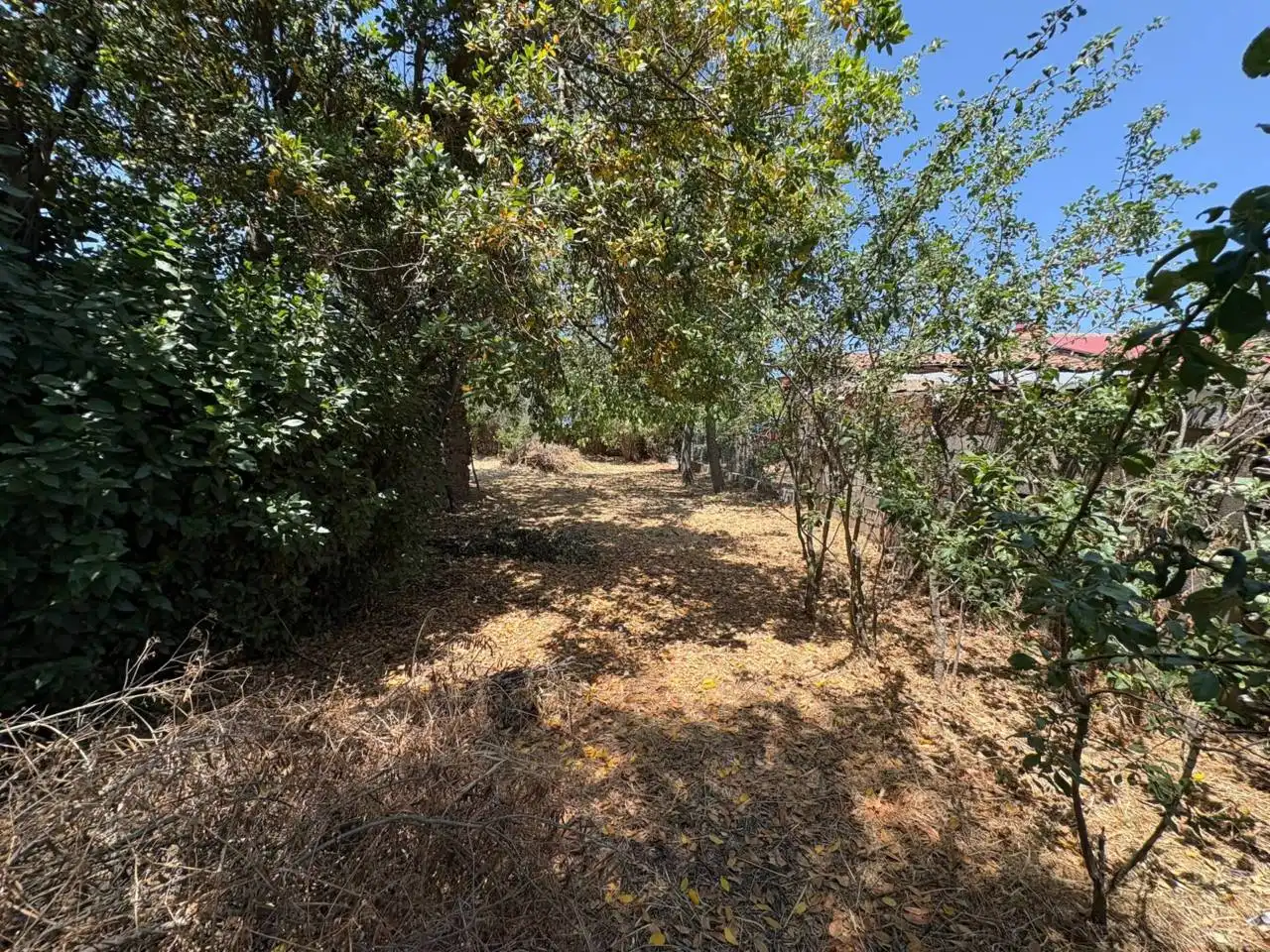 Casa o chalet en venta en Zamarra con Jardín privado
