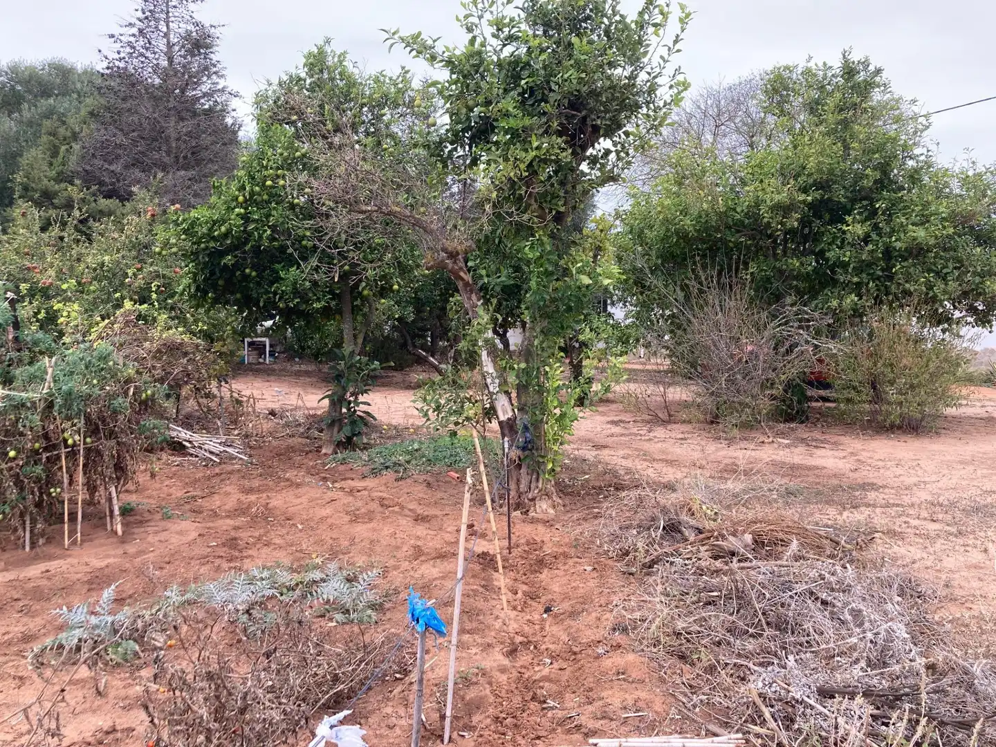 Casa rústica amb jardí en venda a Vejer, imagen 14