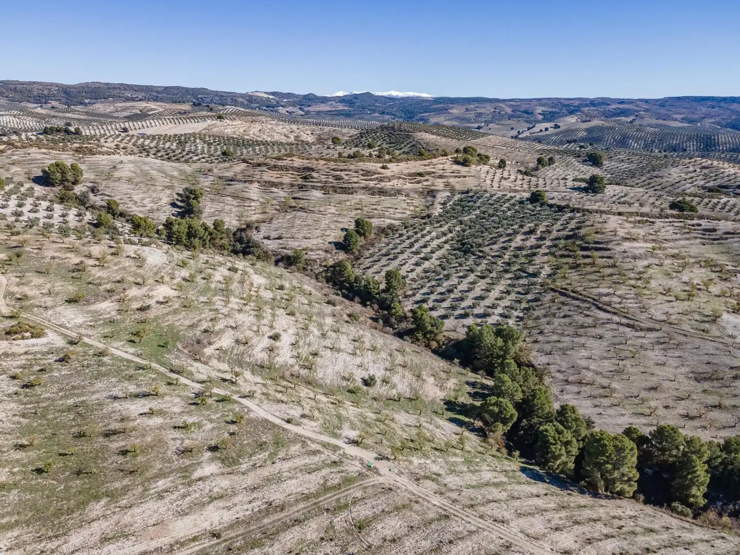 Terreni e lotti in vendita a Jayena 1, imagen 15