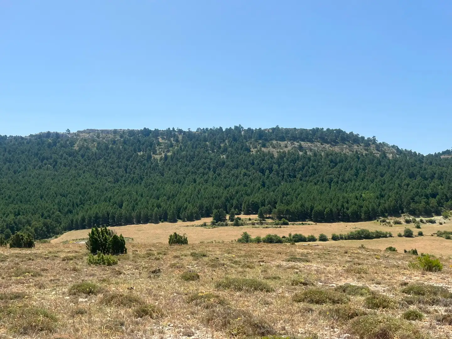 Terreno en venta en Peñarroya de Tastavins