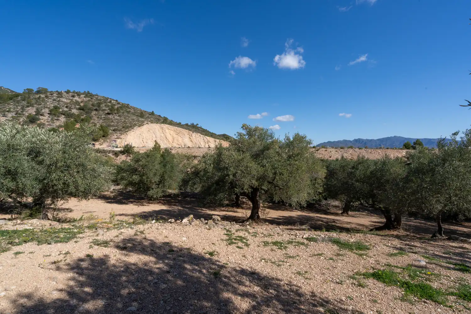Terrain rustique à vendre à Xerta, imagen 19