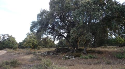 Foto 3 de Terreno en venta en M-510, 1, Chapinería, Madrid