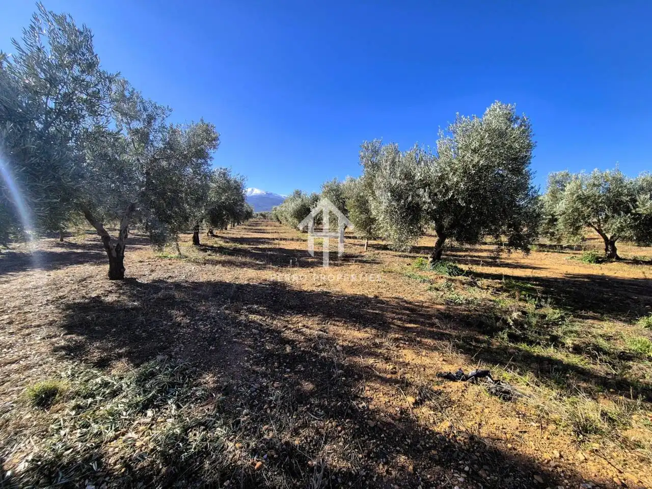 Lands and plots for sale in Lanteira, imagen 62