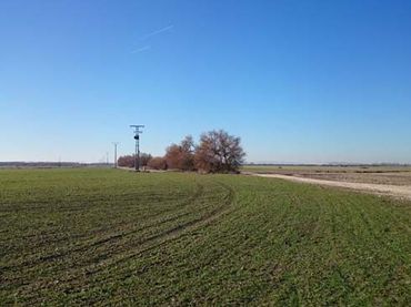 Terreno rustico in vendita a Quintanar de la Orden