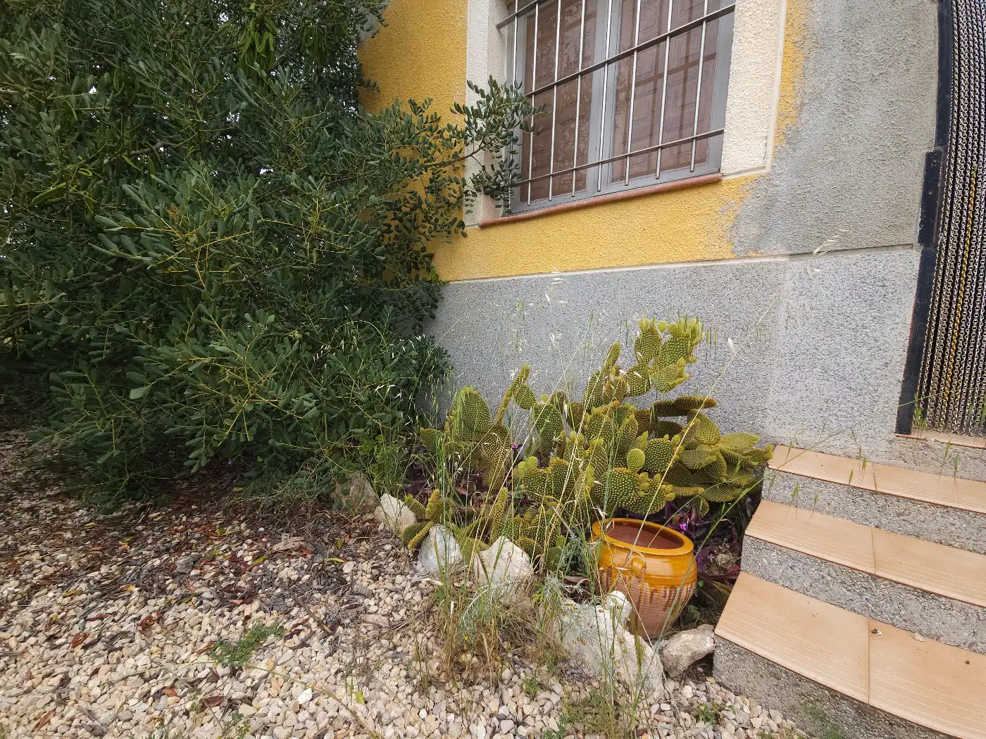 Jardí de Casa o xalet en venda en L'Ametlla de Mar  amb Jardí privat, Terrassa i Traster