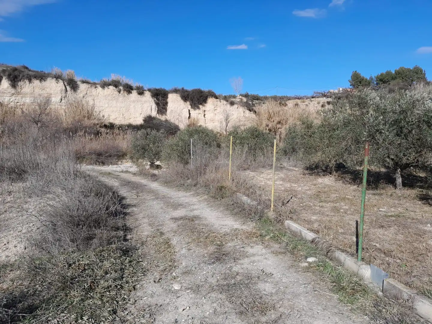 Rustikales Grundstück zum Verkauf in Carretera del Escobar Km 2, imagen 7