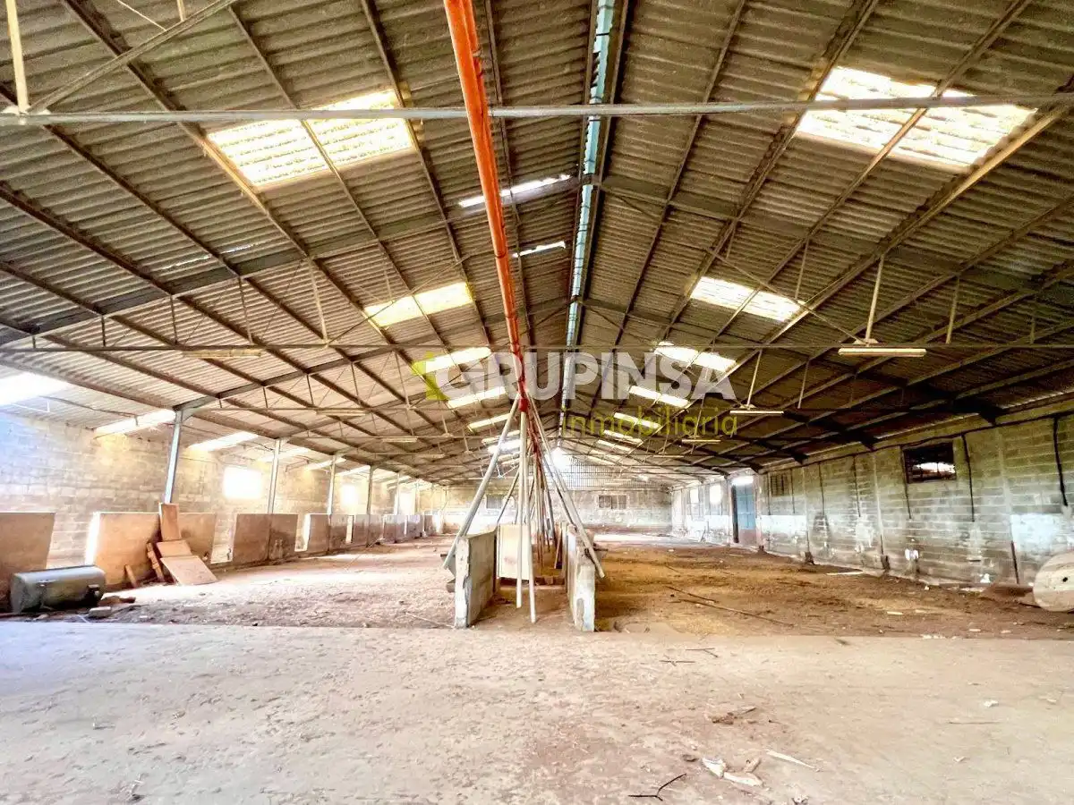 Nave industrielle à louer à Les Boqueres - Santa Quiteria, imagen 9