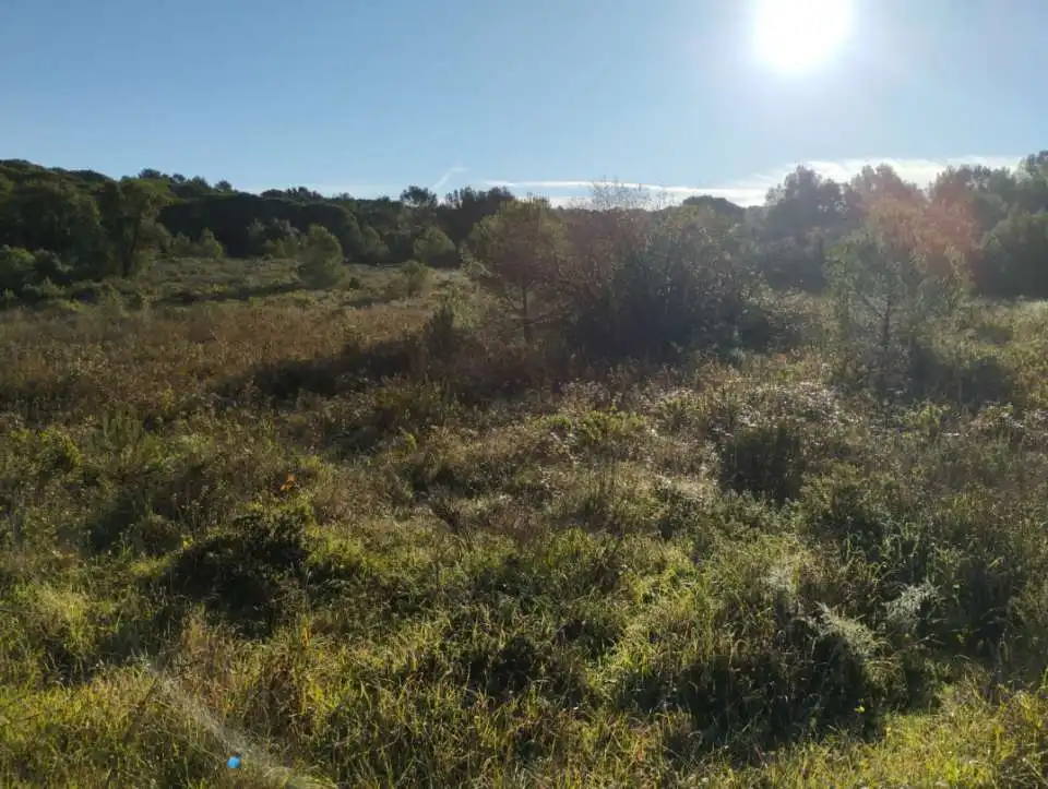 Grundstücke und Bauplätze zum Verkauf in Sant Joan - Vilarromà, imagen 6