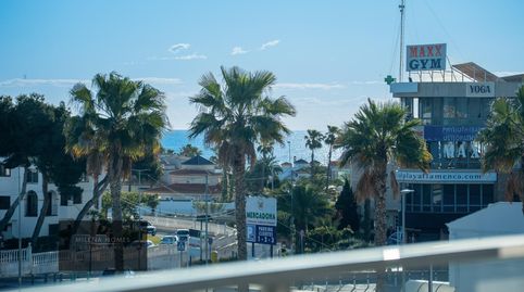Foto 3 de Apartamento en venta en Calle Calle Pablo Picasso, Playa Flamenca, Orihuela