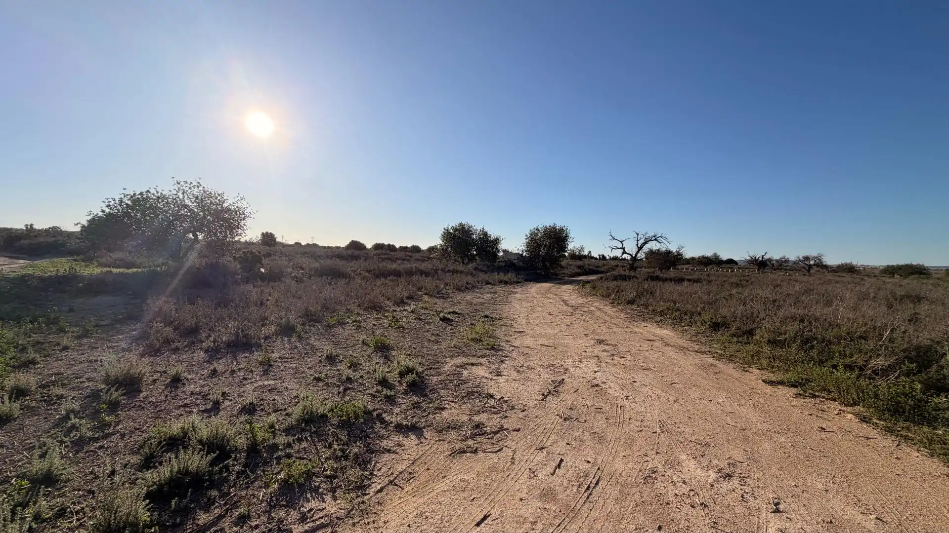 Terreno residencial en venta en La Marina, imagen 2